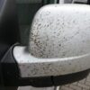 FOTO MOSQUITOS CARGO 4100 2